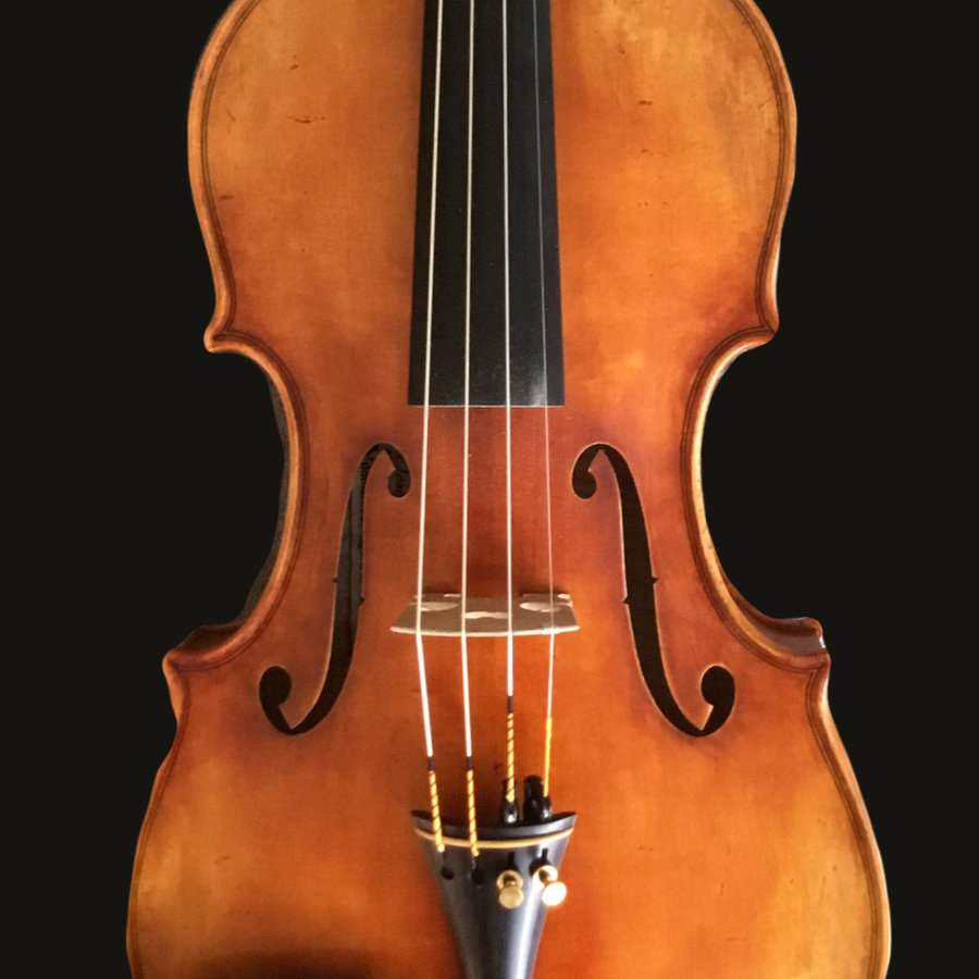Master model full size violin outfit